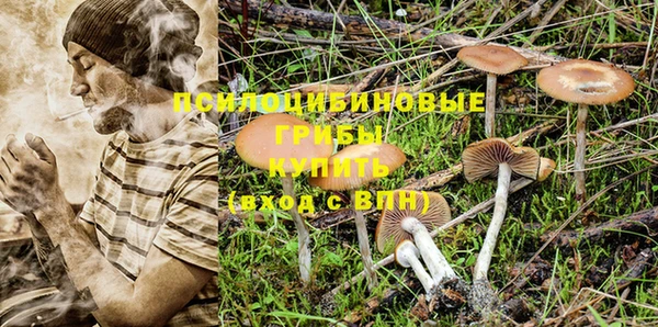 ALPHA PVP Верхний Тагил